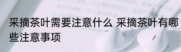 采摘茶叶需要注意什么 采摘茶叶有哪些注意事项