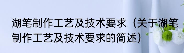 湖笔制作工艺及技术要求（关于湖笔制作工艺及技术要求的简述）