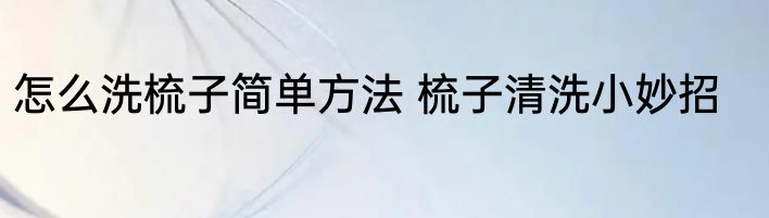 怎么洗梳子简单方法 梳子清洗小妙招