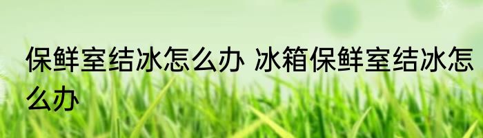 蝙的组词（关于蝙的组词的简述）