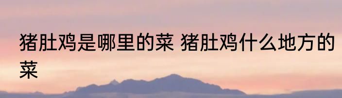 猪肚鸡是哪里的菜 猪肚鸡什么地方的菜