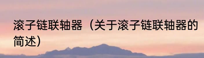 滚子链联轴器（关于滚子链联轴器的简述）
