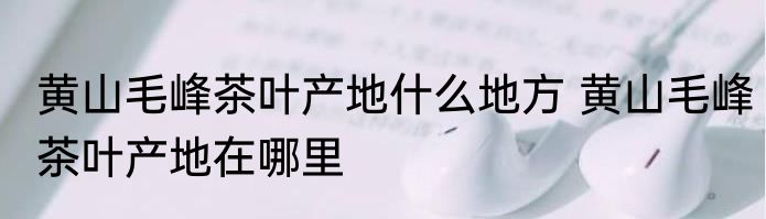 黄山毛峰茶叶产地什么地方 黄山毛峰茶叶产地在哪里