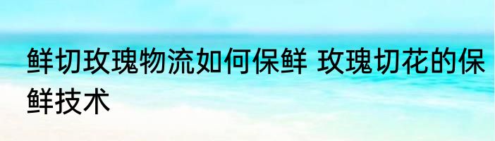 鲜切玫瑰物流如何保鲜 玫瑰切花的保鲜技术