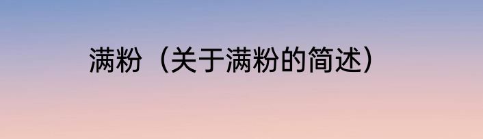 满粉（关于满粉的简述）