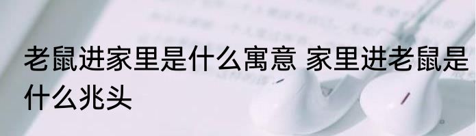 老鼠进家里是什么寓意 家里进老鼠是什么兆头