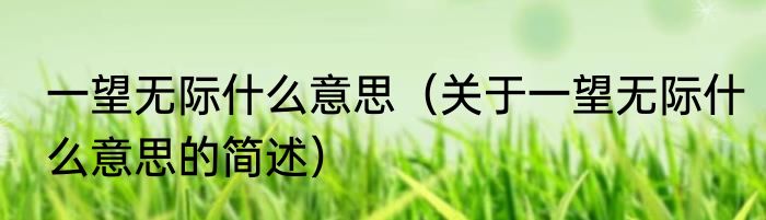 一望无际什么意思（关于一望无际什么意思的简述）