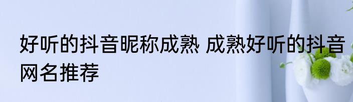 好听的抖音昵称成熟 成熟好听的抖音网名推荐
