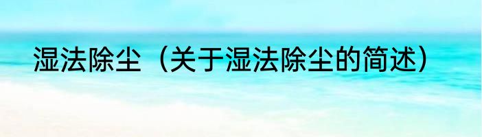 湿法除尘（关于湿法除尘的简述）