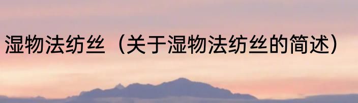 湿物法纺丝（关于湿物法纺丝的简述）