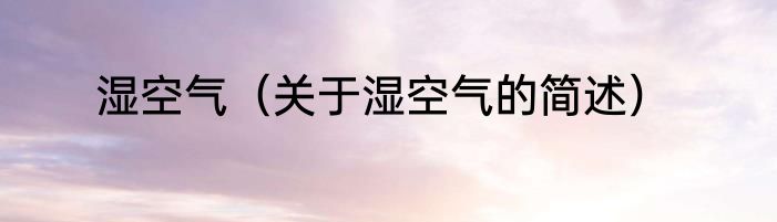 湿空气（关于湿空气的简述）