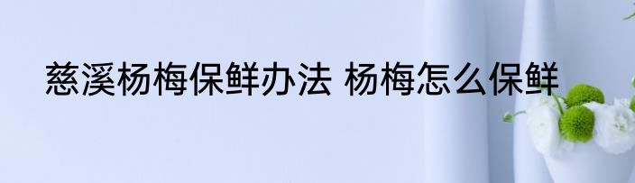 慈溪杨梅保鲜办法 杨梅怎么保鲜