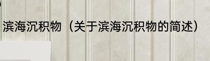 滨海沉积物（关于滨海沉积物的简述）