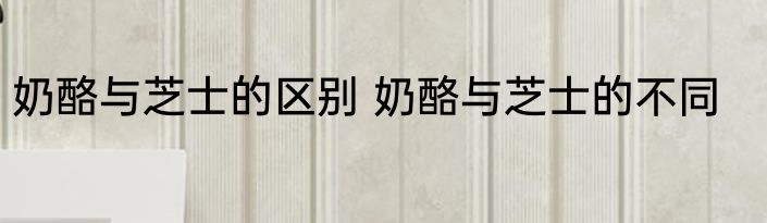 奶酪与芝士的区别 奶酪与芝士的不同