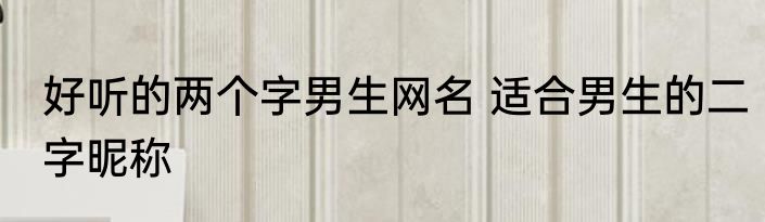 好听的两个字男生网名 适合男生的二字昵称