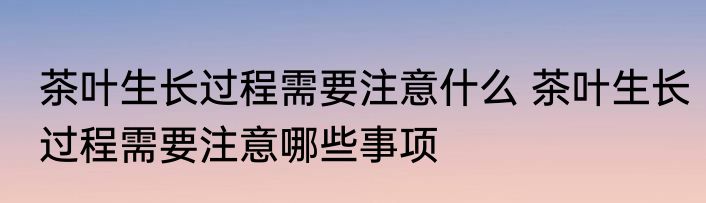 茶叶生长过程需要注意什么 茶叶生长过程需要注意哪些事项