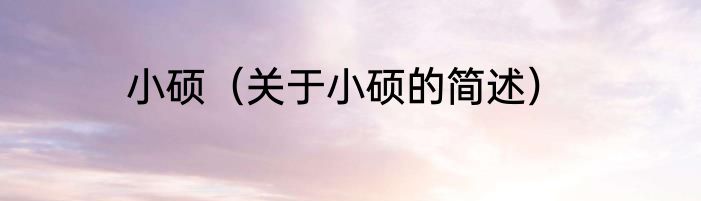 小硕（关于小硕的简述）