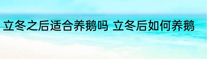 立冬之后适合养鹅吗 立冬后如何养鹅