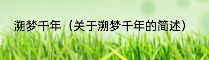 溯梦千年（关于溯梦千年的简述）