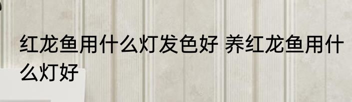 红龙鱼用什么灯发色好 养红龙鱼用什么灯好