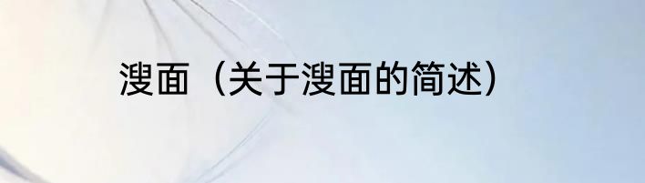 溲面（关于溲面的简述）