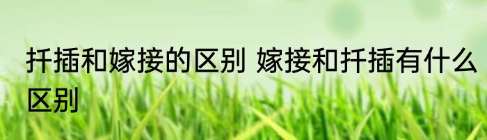 扦插和嫁接的区别 嫁接和扦插有什么区别