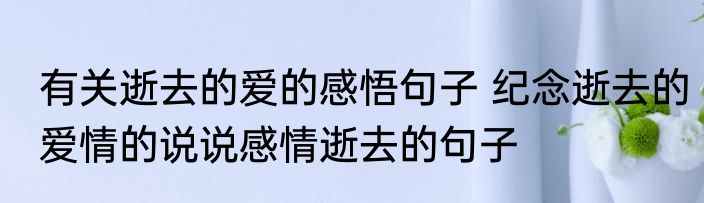 有关逝去的爱的感悟句子 纪念逝去的爱情的说说感情逝去的句子