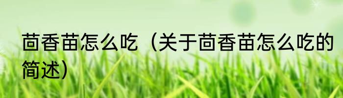 茴香苗怎么吃（关于茴香苗怎么吃的简述）