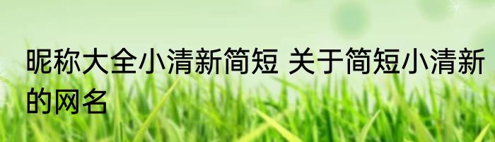昵称大全小清新简短 关于简短小清新的网名