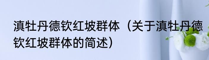 滇牡丹德钦红坡群体（关于滇牡丹德钦红坡群体的简述）