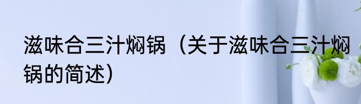 滋味合三汁焖锅（关于滋味合三汁焖锅的简述）