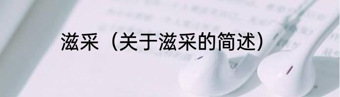 滋采（关于滋采的简述）