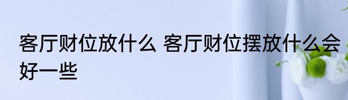 客厅财位放什么 客厅财位摆放什么会好一些