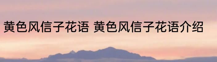 黄色风信子花语 黄色风信子花语介绍