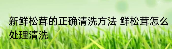 新鲜松茸的正确清洗方法 鲜松茸怎么处理清洗