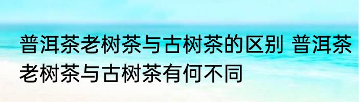 普洱茶老树茶与古树茶的区别 普洱茶老树茶与古树茶有何不同