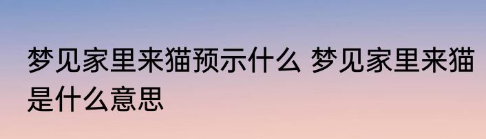 梦见家里来猫预示什么 梦见家里来猫是什么意思