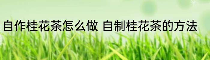 自作桂花茶怎么做 自制桂花茶的方法