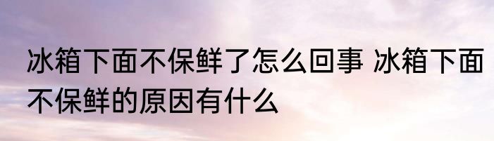 冰箱下面不保鲜了怎么回事 冰箱下面不保鲜的原因有什么