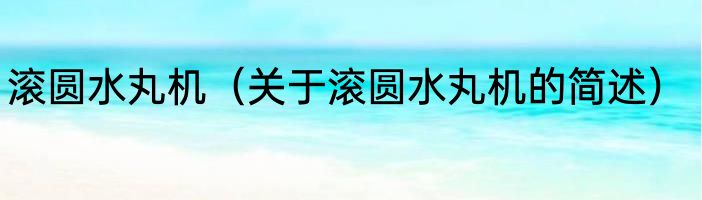 滚圆水丸机（关于滚圆水丸机的简述）