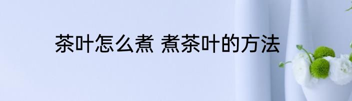 茶叶怎么煮 煮茶叶的方法