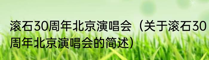 滚石30周年北京演唱会（关于滚石30周年北京演唱会的简述）
