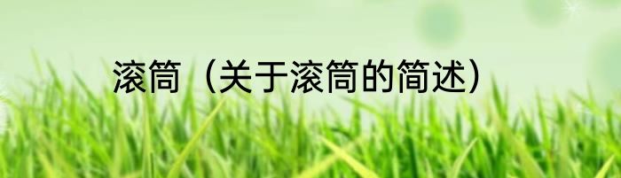 滚筒（关于滚筒的简述）