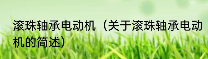 滚珠轴承电动机（关于滚珠轴承电动机的简述）