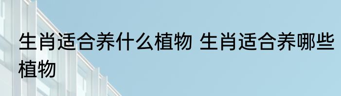 生肖适合养什么植物 生肖适合养哪些植物