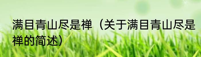 满目青山尽是禅（关于满目青山尽是禅的简述）