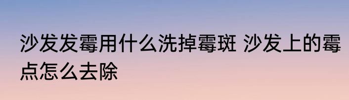 沙发发霉用什么洗掉霉斑 沙发上的霉点怎么去除