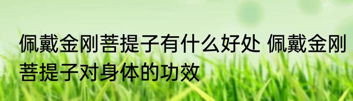 佩戴金刚菩提子有什么好处 佩戴金刚菩提子对身体的功效