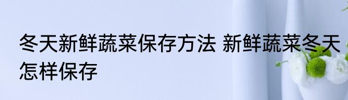 冬天新鲜蔬菜保存方法 新鲜蔬菜冬天怎样保存