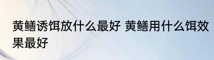 黄鳝诱饵放什么最好 黄鳝用什么饵效果最好
